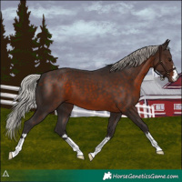 Horse Color:Silver Brown 