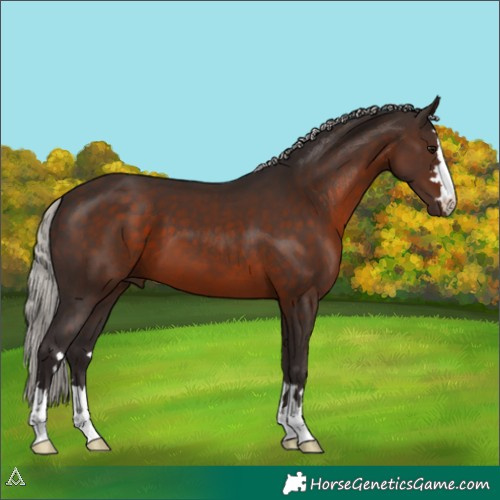Horse Color:Silver Brown 