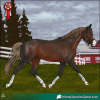 Horse Color:Liver Chestnut 