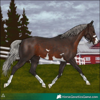 Horse Color:Silver Brown 