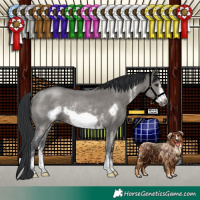 Horse Color:Grullo Sabino Frame Rabicano
