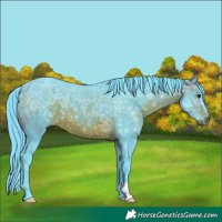 Horse Color:Watercolor Bay Ice 