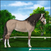 Horse Color:Liver Red Dun Rabicano 