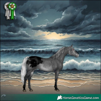 Horse Color:Void Silver Brown Chinchilla Dun Tobiano Appaloosa