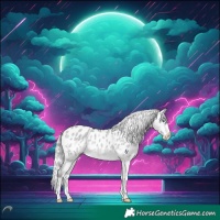 Horse Color:Silver Brown Chinchilla Dun Splash Appaloosa 