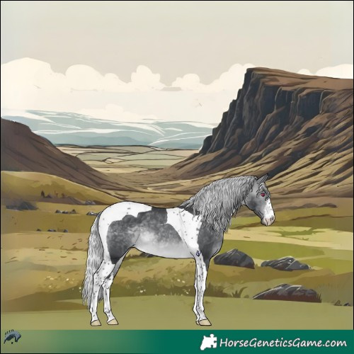 Horse Color:White Spotted Silver Brown Chinchilla Tobiano 