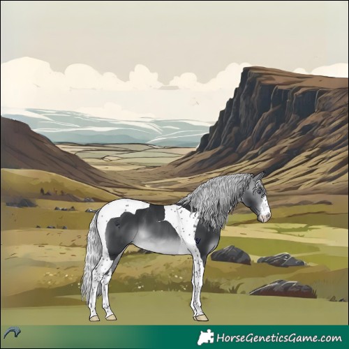 Horse Color:White Spotted Silver Brown Chinchilla Tobiano 
