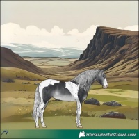Horse Color:White Spotted Silver Brown Chinchilla Tobiano 