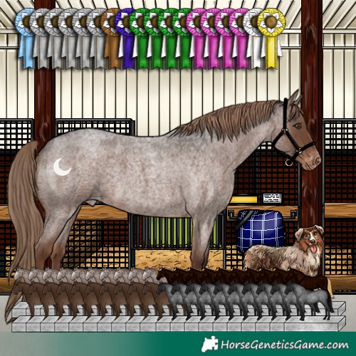 Horse Color:Liver Red Roan Varnish 