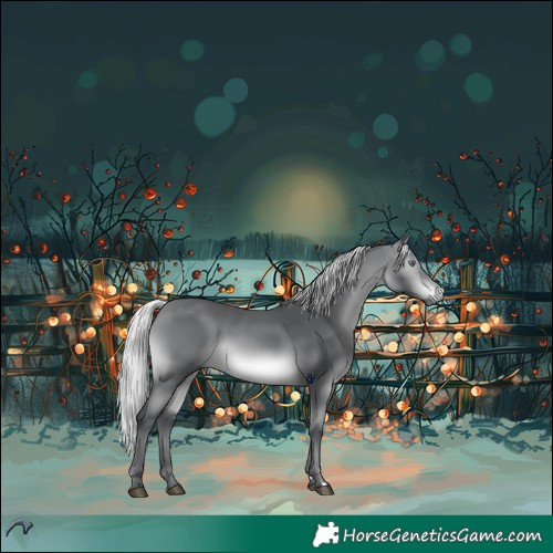 Horse Color:Silver Brown Chinchilla 