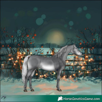 Horse Color:Silver Brown Chinchilla 