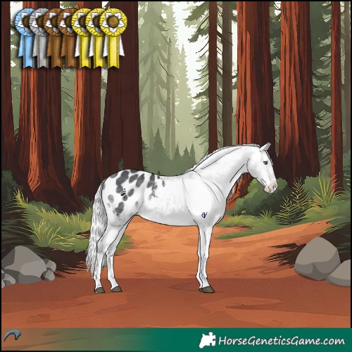 Horse Color:White Spotted Silver Bay Chinchilla Tobiano Blanket 