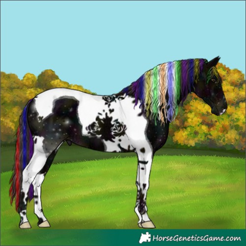 Horse Color:Painted Midnight Liver Chestnut Ice Tobiano 