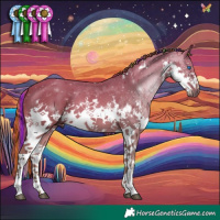 Horse Color:Painted White Spotted Chestnut Splash 
