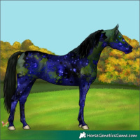 Horse Color:ERROR: UNKNOWN ANOMALY