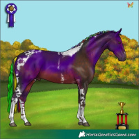 Horse Color:Painted White Spotted Liver Chestnut Tobiano