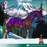 Horse Color:Painted White Spotted Liver Chestnut Tobiano