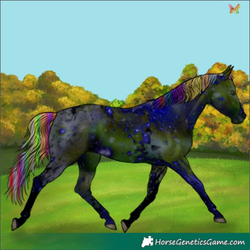 Horse Color:ERROR: UNKNOWN ANOMALY