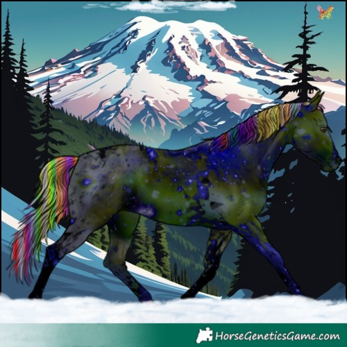 Horse Color:ERROR: UNKNOWN ANOMALY