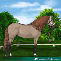 Horse Color:Liver Red Dun Rabicano 
