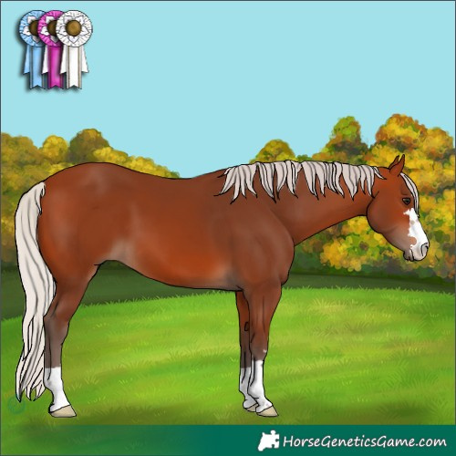 Horse Color:Silver Bay 
