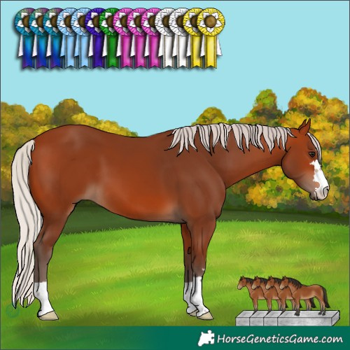 Horse Color:Silver Bay 