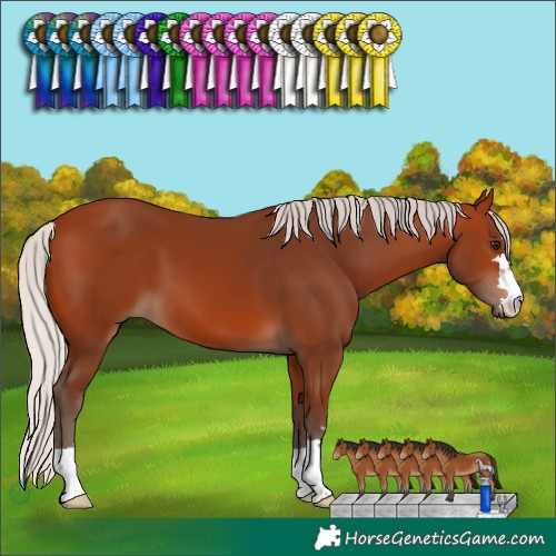 Horse Color:Silver Bay 