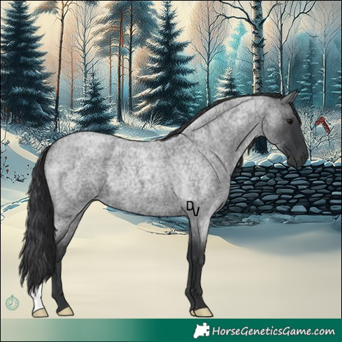 Horse Color:Blue Roan 