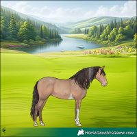 Horse Color:Amber Champagne Tobiano 