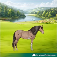 Horse Color:Amber Champagne Tobiano 