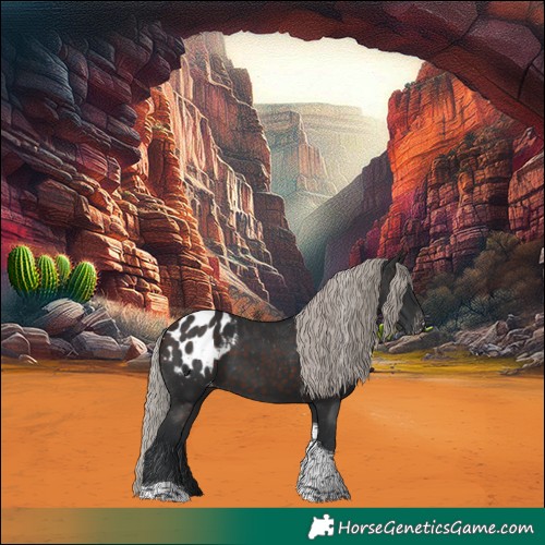 Horse Color:Silver Brown Tobiano Blanket 