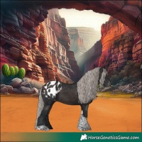Horse Color:Silver Brown Tobiano Blanket 