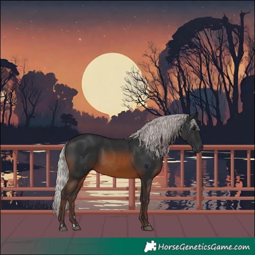 Horse Color:Silver Bay 