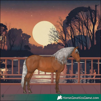 Horse Color:Silver Bay 