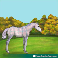 Horse Color:Watercolor Plaid Silver Blue Onyx Ice Sabino