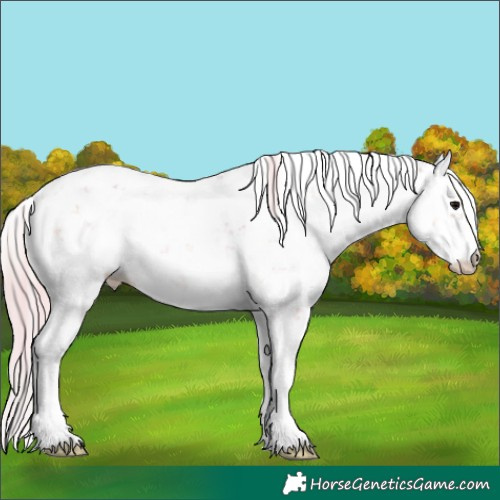 Horse Color:Plaid  Silver Brown Ice Onyx Sabino 