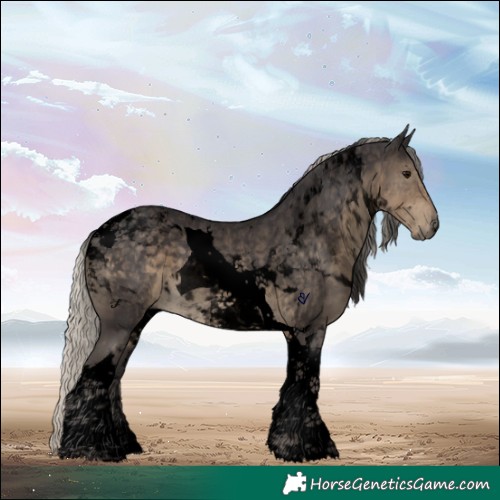 Horse Color:Void Silver Smoky Black Tobiano 
