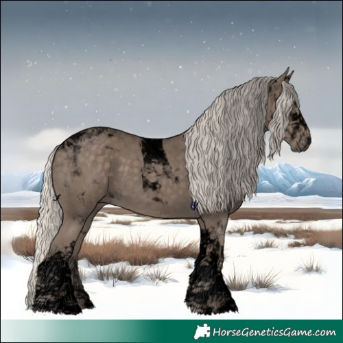 Horse Color:Void Silver Smoky Black Tobiano 