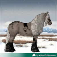 Horse Color:Void Silver Smoky Black Tobiano 