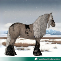Horse Color:Void Silver Smoky Black Tobiano 