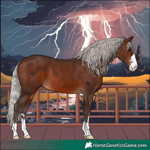 Horse Color:Silver Brown 