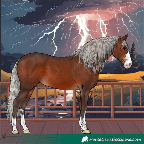 Horse Color:Silver Brown 