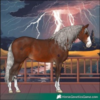 Horse Color:Silver Brown 
