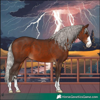 Horse Color:Silver Brown 
