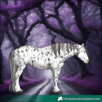 Horse Color:Liver Chestnut Sabino Splash Appaloosa  and Brown Sabino Splash Appaloosa 