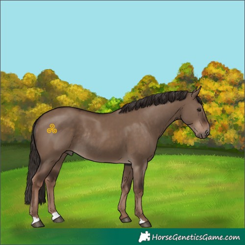Horse Color:Liver Red Dun Rabicano 