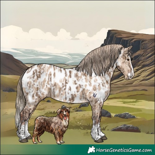 Horse Color:Liver Red Dun Sabino Splash Near Leopard and Red Dun Sabino Splash Near Leopard