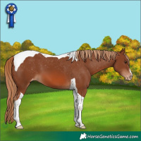 Horse Color:Chestnut Tobiano Varnish 