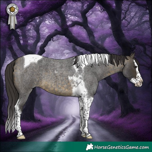 Horse Color:Buckskin Roan Splash Tobiano 