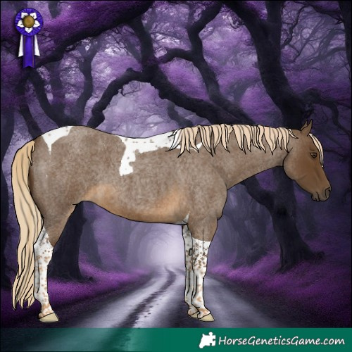 Horse Color:Chocolate Palomino Roan Tobiano 